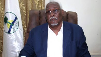 والي ولاية نهر النيل