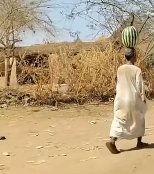 سوداني 1