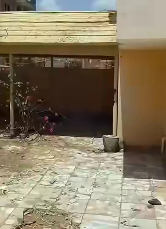 بالدموع.. مطرب سوداني يوثق عودته إلى منزله في الخرطوم بعد الحرب منزل