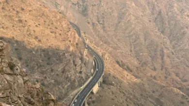 أبها