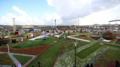 الطائف