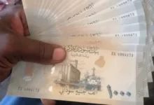 العملة السودانية
