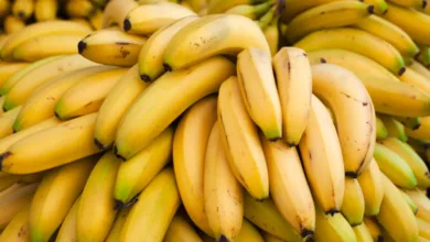 الموز وفوائده المذهلة للجسم.. مصدر غني بالبوتاسيوم والطاقة الموز
