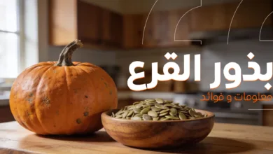 بذور القرع