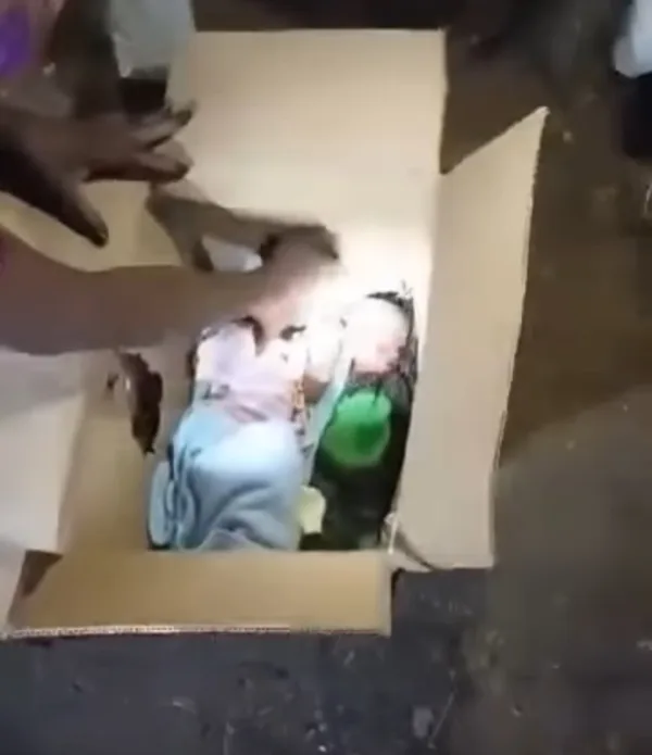 واقعة محزنة في الخرطوم.. سائق "بوكس" يرمي كرتونة فيها 3 توائم و يهرب! عثور المواطنين على التوائم في الكرتونة