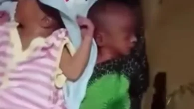 واقعة محزنة في الخرطوم.. سائق "بوكس" يرمي كرتونة فيها 3 توائم و يهرب! توائم 1