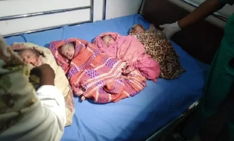 حالة نادرة... سيدة في كردفان تضع 4 توائم بصحة جيدة توائم