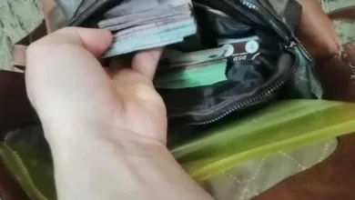 حقيبة