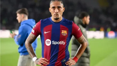 رافيينا