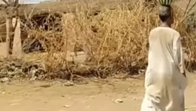 سوداني 1