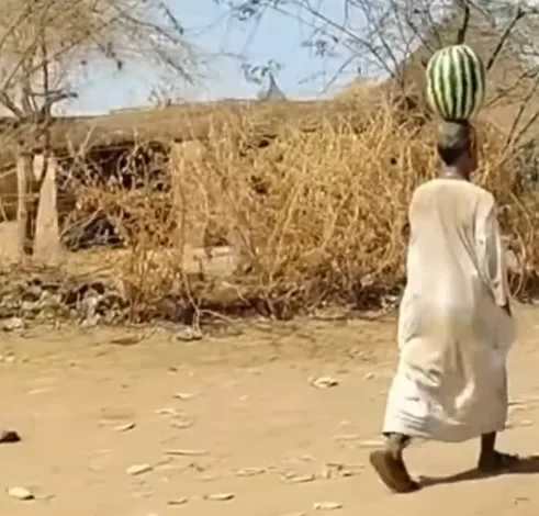 سوداني يتحدى قوانين الجاذبية و يلفت الأنظار سوداني 1