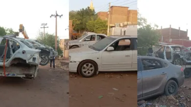 سيارات شاسيهات