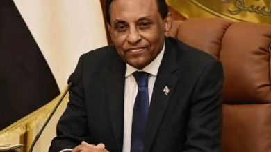 كامل ادريس