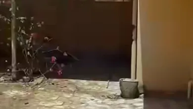 بالدموع.. مطرب سوداني يوثق عودته إلى منزله في الخرطوم بعد الحرب منزل
