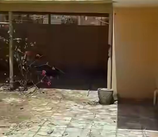 بالدموع.. مطرب سوداني يوثق عودته إلى منزله في الخرطوم بعد الحرب منزل في الخرطوم بعد الحرب