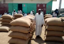 اسعار المحاصيل الدمازين