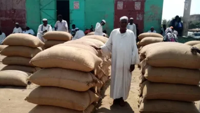 الجزيرة تجيز تعديلات جديدة في قوانين التقاوي و الأسواق اسعار المحاصيل الدمازين