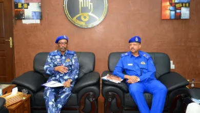 الجوازات السودانية