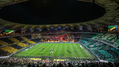 جماهير المدرجات
