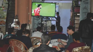 مواعيد المقاهي في كأس العالم.. مصدر حكومي يحسم الجدل قبل انطلاق المونديال قهوة مصر