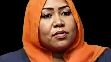 هاجر سليمان تكتب: تصريح وزير الثقافة.. بالله إنتو حكومة على شنو؟! لعناية متخذ القرار هاجر سليمان