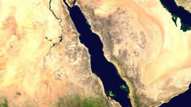 البحر الأحمر