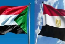 وزير الخارجية المصري يؤكد دعم وحدة السودان ورفض إنشاء كيانات موازية السودان ومصر