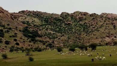 صورة لمدينة القضارف