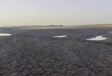 أوجاع على ضفاف النيل.. النهر ينحسر وسلة غذاء السودان خاوية انحسار النيل