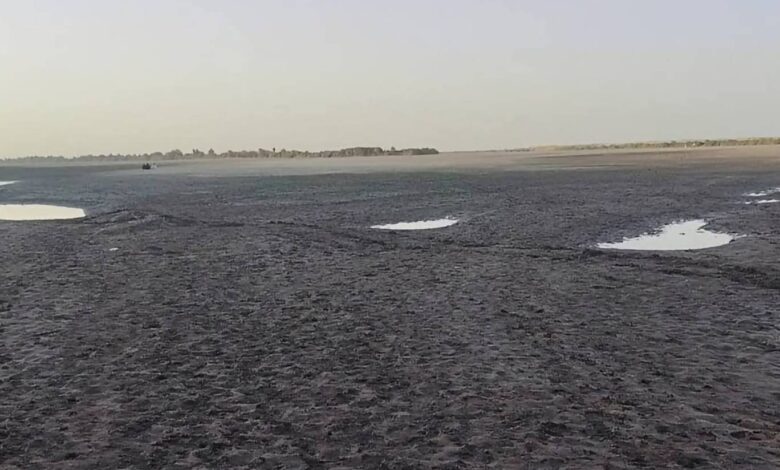 صورة رمزية لانحسار مياه النيل