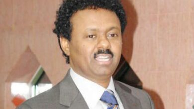 صورة شخصية لجمال الوالي
