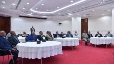 الجمارك السودانية تبدأ تدريبًا متخصصًا بالقاهرة دورة تدريبية الجمارك السودانية