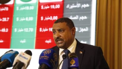 رئيس الغرفة القومية للمستوردين الصادق جلال الدين صالح
