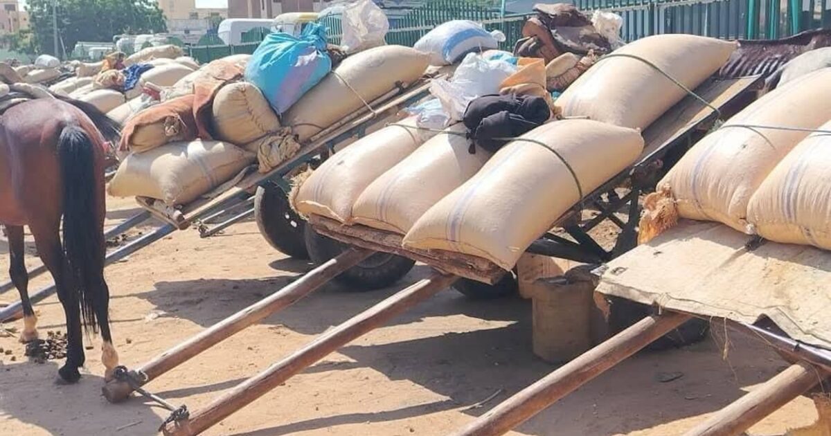 استقرار أسعار الحبوب في سوق أم درمان المركزي.. والدخن الأصفر الأعلى سعراً سوق محاصيل
