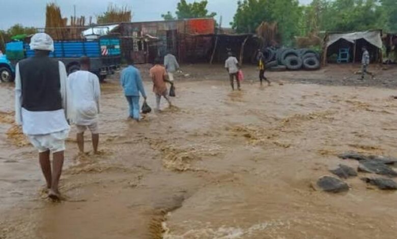 فيديو صادم.. "الهدّام" يبتلع أراضي زراعية في بربر خلال ثوانٍ ضفاف نهر النيل