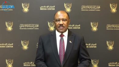 وزير الخارجية السوداني محيي الدين سالم
