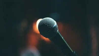 ميكروفون فنان