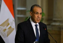 وزير الخارجية المصري: دعم مؤسسات الدولة السودانية أولوية قصوى وزير الخارجية المصري