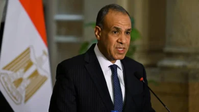 وزير الخارجية المصري