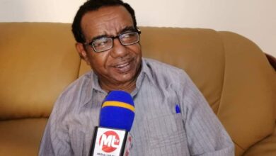 انور احمد عثمان