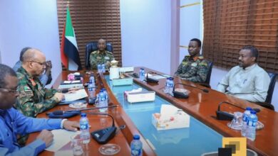 صورة رمزية لمجلس الأمن والدفاع السوداني