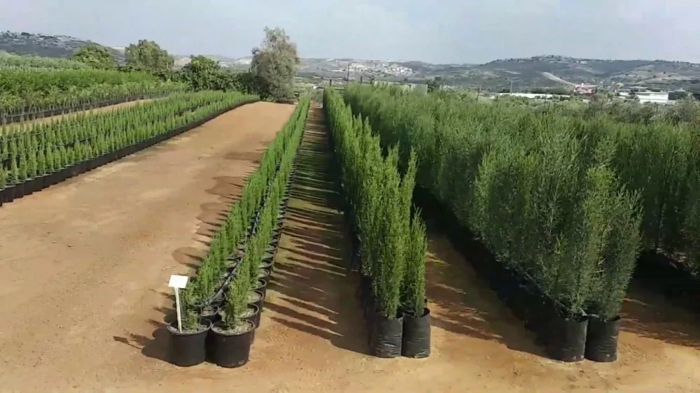 ضبط 13 مشتل تستخدم مياه الصرف الصحي لري المزروعات في جدة مشتل