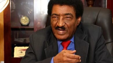 عبد المحمود عبد الحليم