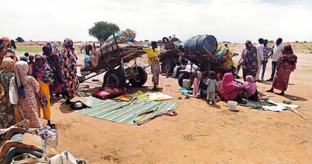 البحث عن رغيف.. 216 عائلة تفر من الجوع إلى مخيم طويلة بدارفور مخيم طويلة