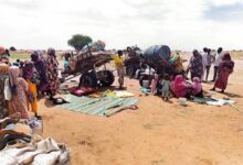 البحث عن رغيف.. 216 عائلة تفر من الجوع إلى مخيم طويلة بدارفور مخيم طويلة