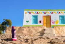 حقيقة «المقبرة الفرعونية» في أسوان ومفاجأة بشأن مصور الفيديو أسوان