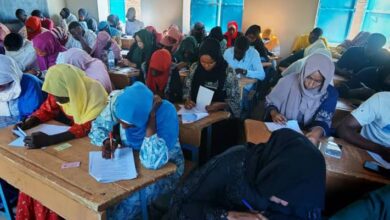 صورة رمزية للدراسة الجامعية