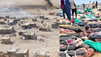 شمال الوادي - الشاعر أيمن النور يثير الجدل بشأن حادثة المعدنين السودانيين : أنا مع هذا الردع و مصر تحركت بعد تساهل الحكومة السودانية