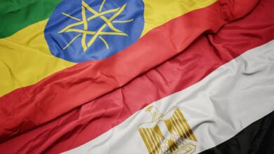 صورة رمزية للعلاقات بين مصر وإثيوبيا